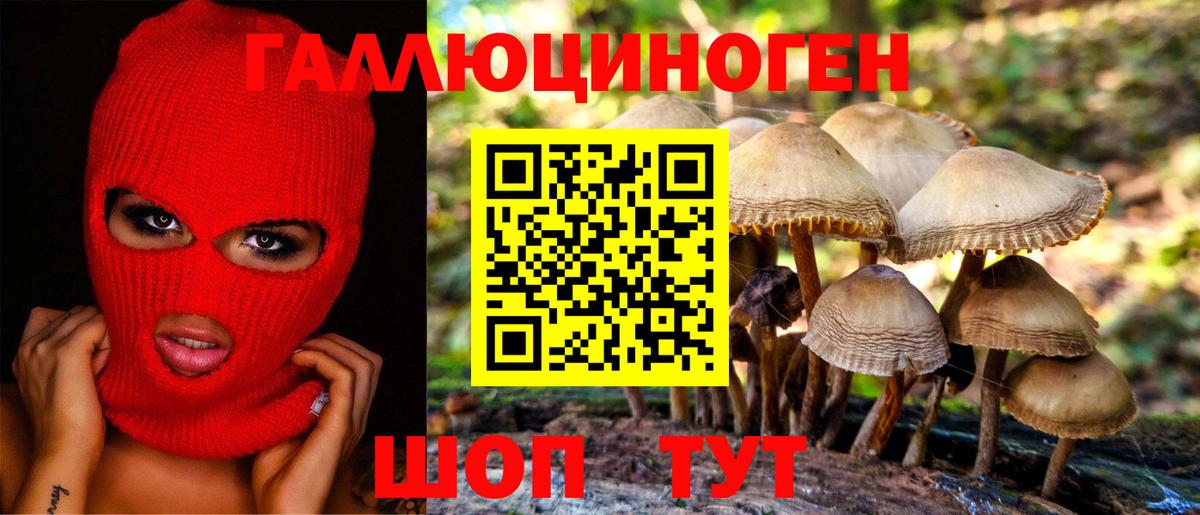 Галлюциногенные грибы Psilocybe  Псилоцибиновые грибы мицелий  Вход с VPN  Бердск 