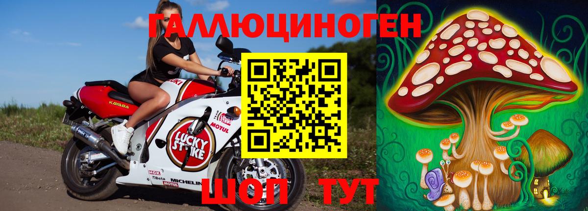 Псилоцибиновые грибы GOLDEN TEACHER Бердск